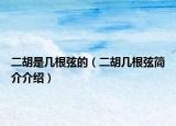 二胡是几根弦的（二胡几根弦简介介绍）
