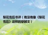 梨花雪后书评（有没有像《梨花雪后》这样的穿越文）