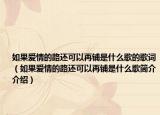 如果爱情的路还可以再铺是什么歌的歌词（如果爱情的路还可以再铺是什么歌简介介绍）
