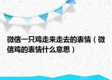 微信一只鸡走来走去的表情（微信鸡的表情什么意思）