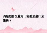 清是指什么生肖（简要清通什么生肖）