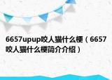 6657upup咬人猫什么梗（6657咬人猫什么梗简介介绍）