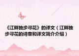 《江畔独步寻花》的译文（江畔独步寻花的诗意和译文简介介绍）