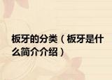 板牙的分类（板牙是什么简介介绍）