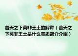普天之下莫非王土的解释（普天之下莫非王土是什么意思简介介绍）