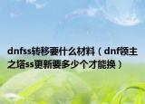 dnfss转移要什么材料（dnf领主之塔ss更新要多少个才能换）