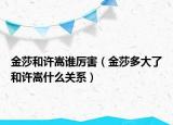 金莎和许嵩谁厉害（金莎多大了和许嵩什么关系）