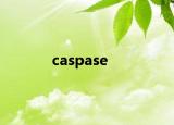 caspase
