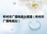 彬州市广播电视台直播（彬州市广播电视台）