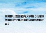 淄博傅山集团的两大家族（山东淄博傅山企业集团有限公司的发展历史）