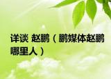 详谈 赵鹏（鹏媒体赵鹏哪里人）