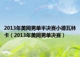 2013年美网男单半决赛小德瓦林卡（2013年美网男单决赛）