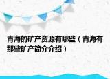 青海的矿产资源有哪些（青海有那些矿产简介介绍）