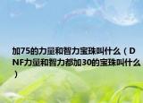 加75的力量和智力宝珠叫什么（DNF力量和智力都加30的宝珠叫什么）