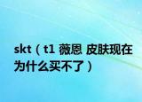 skt（t1 薇恩 皮肤现在为什么买不了）