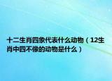 十二生肖四象代表什么动物（12生肖中四不像的动物是什么）