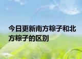 今日更新南方粽子和北方粽子的区别