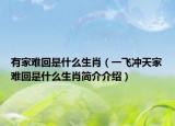 有家难回是什么生肖（一飞冲天家难回是什么生肖简介介绍）