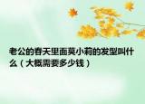 老公的春天里面莫小莉的发型叫什么（大概需要多少钱）