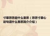 寸草悠悠是什么意思（悠悠寸草心这句话什么意思简介介绍）