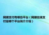 网银支付有哪些平台（网银在线支付是哪个平台简介介绍）
