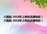 六胞胎 2019年上映的美国电影（六胞胎 2019年上映的美国电影）