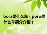 bora是什么车（poro是什么车简介介绍）