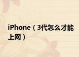 iPhone（3代怎么才能上网）