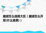 魔域怎么选择大区（魔域怎么开双(什么意思)）