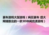 赛车游戏大型游戏（疯狂赛车 盛大网络推出的一款3D休闲竞速游戏）