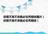 你若不离不弃我必生死相依图片（你若不离不弃我必生死相依）