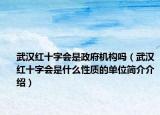 武汉红十字会是政府机构吗（武汉红十字会是什么性质的单位简介介绍）