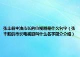 张丰毅主演市长的电视剧是什么名字（张丰毅的市长电视剧叫什么名字简介介绍）
