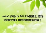 m4a1步枪cf（M4A1-黑骑士 游戏《穿越火线》中的步枪类型武器）