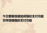 今日更新微信如何指纹支付功能 怎样微信指纹支付功能