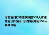 河北百日行动抓获嫌犯558人详细内容 河北百日行动抓获嫌犯558人具体介绍