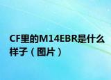 CF里的M14EBR是什么样子（图片）