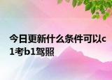 今日更新什么条件可以c1考b1驾照