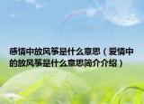 感情中放风筝是什么意思（爱情中的放风筝是什么意思简介介绍）