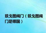 兹戈图阀门（兹戈图阀门是哪国）