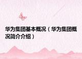 华为集团基本概况（华为集团概况简介介绍）