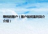 赚钱的散户（散户如何盈利简介介绍）