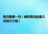 荷月是哪一月（被称荷月的是几月简介介绍）