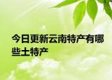 今日更新云南特产有哪些土特产