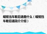 螳臂当车歇后语是什么（螳臂挡车歇后语简介介绍）