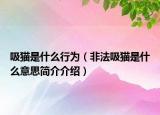 吸猫是什么行为（非法吸猫是什么意思简介介绍）