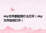skp文件都能用什么打开（skp文件如何打开）