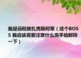 我是远程维扎克斯将军（这个BOSS 我应该需要注意什么高手给解释一下）