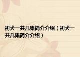 初犬一共几集简介介绍（初犬一共几集简介介绍）