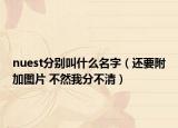 nuest分别叫什么名字（还要附加图片 不然我分不清）